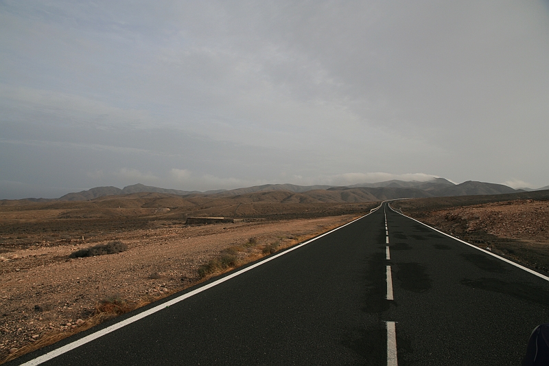 Kanary_2010 001